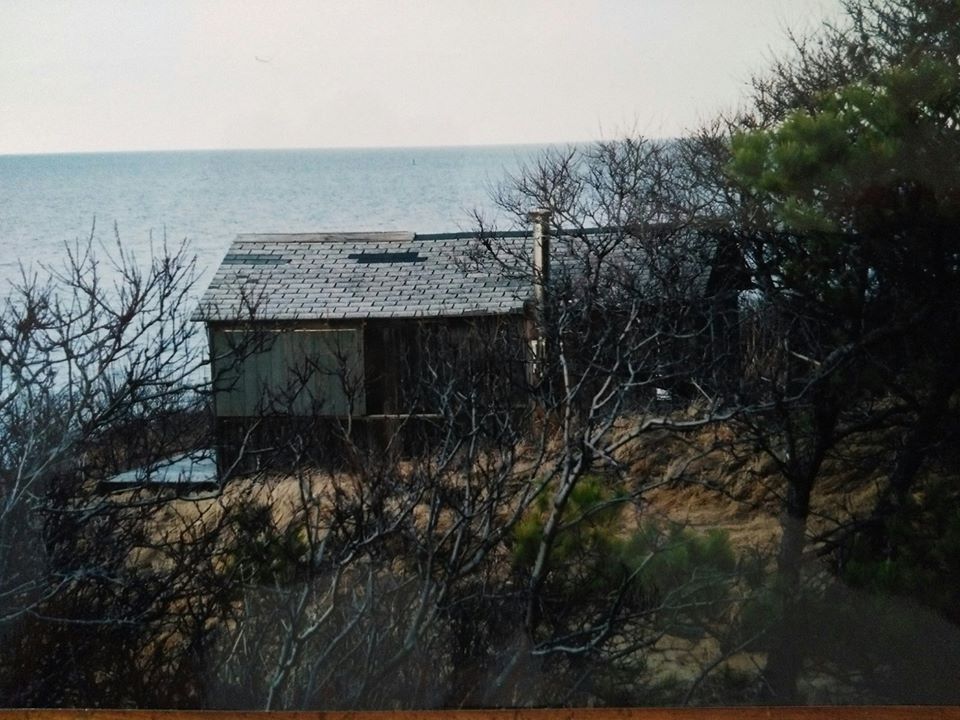 The Writing Cottage before restoration, partly screened by trees near the water